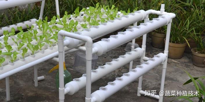 定植钵,支撑架,循环控制系统四部分组成,管道式基质无土栽培装置则由
