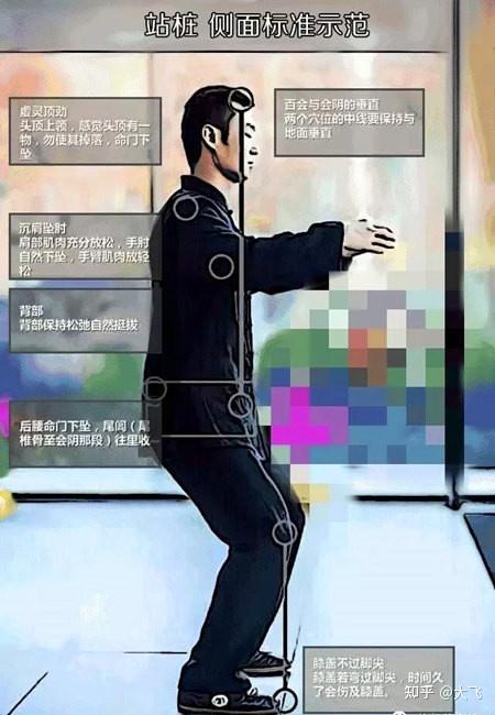 站桩的好处功效与作用解答合集