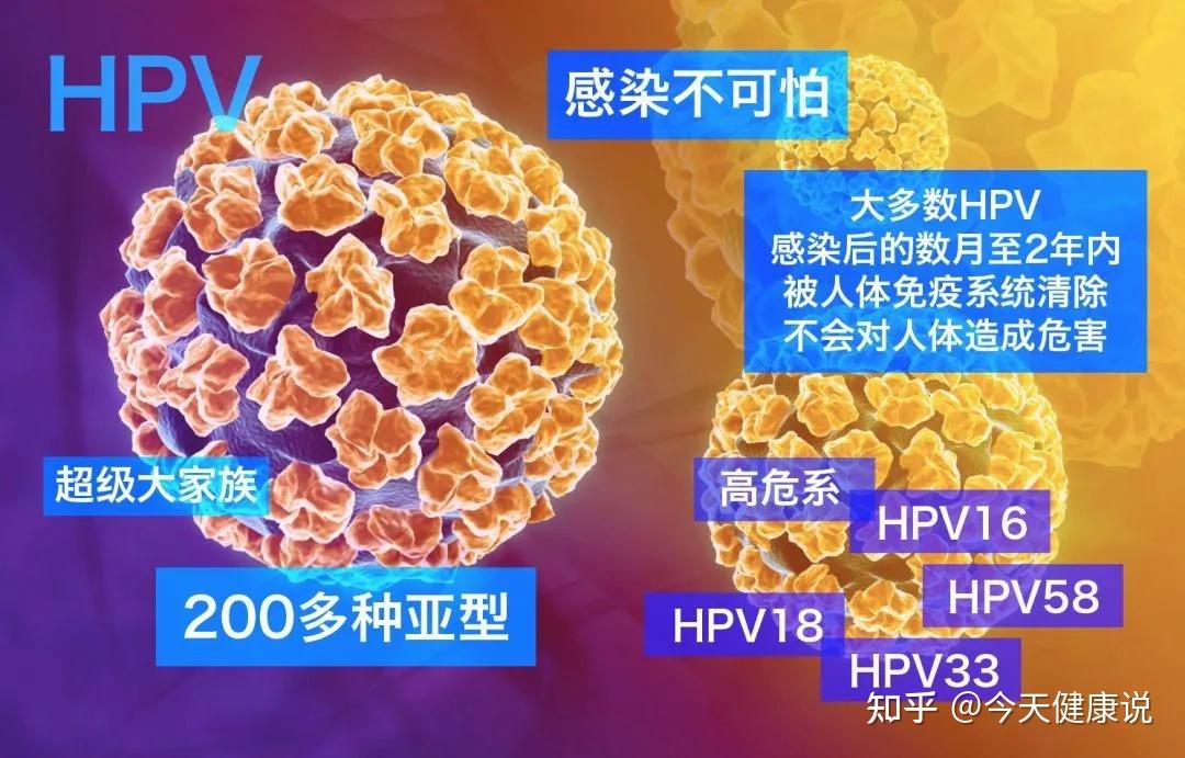 hpv在眾多女性中約有80%以上的人都被感染過,只是很多人都是沒有症狀