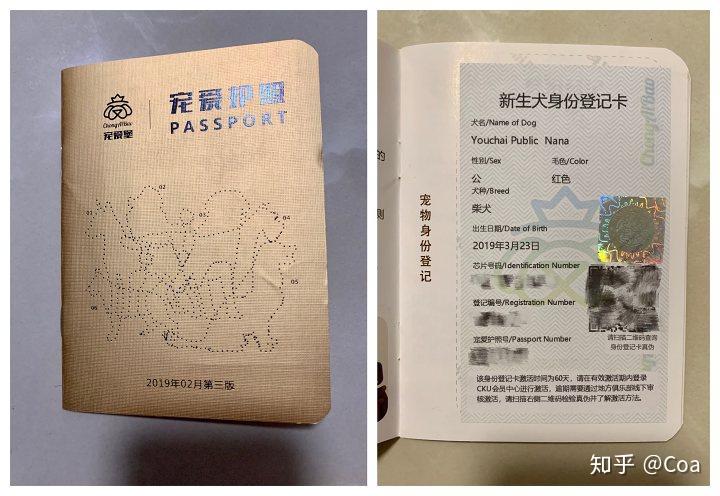 "双血统,一般个人卖家喜欢这样说,就说幼犬的父母都是cku认证的纯种狗