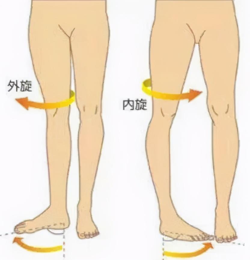 o型腿怎么变直o型腿应该怎么练