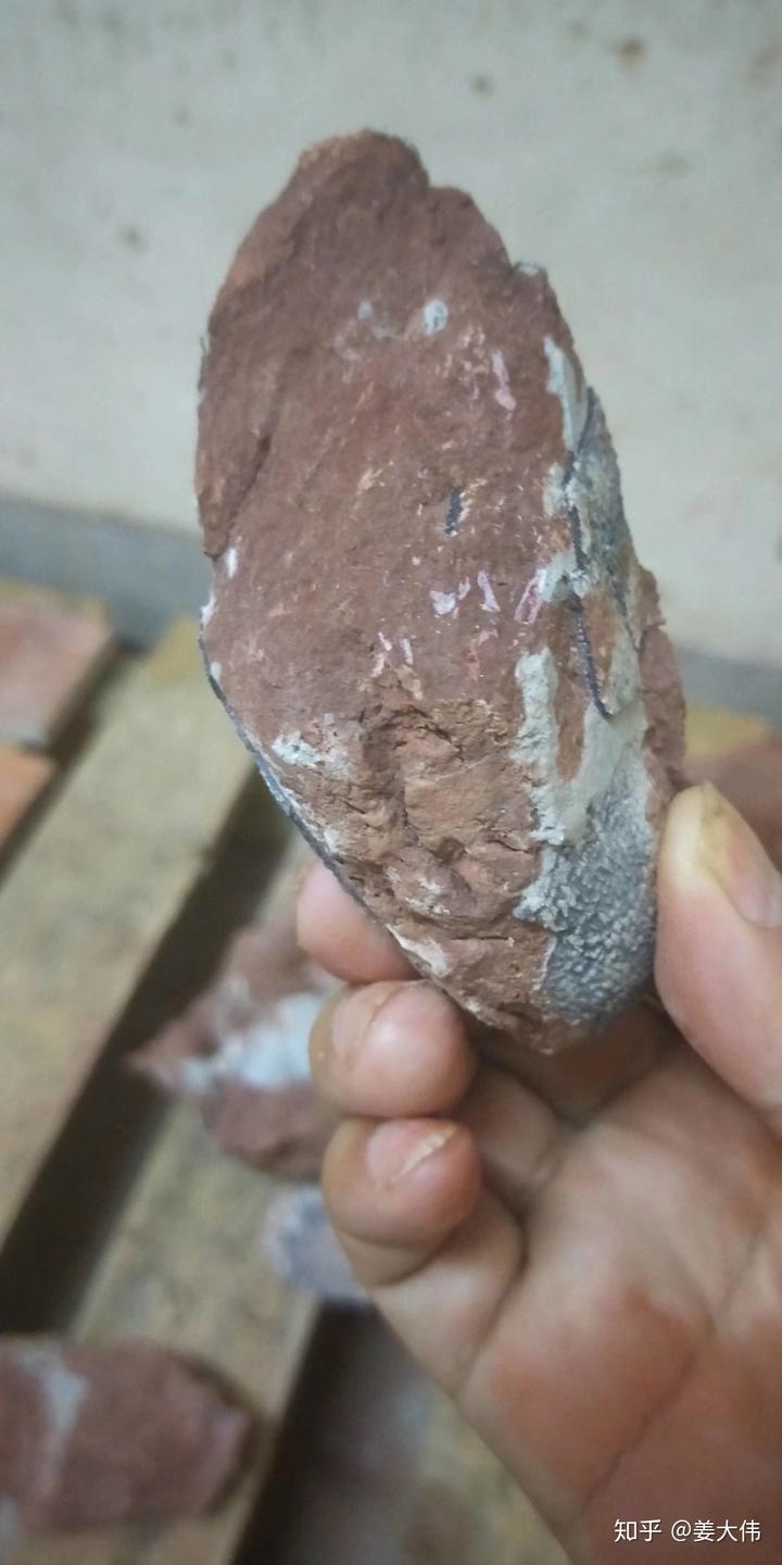 恐龙蛋化石切开后是什么样的? 4 v2 084b9acfd86d254a3c5d8587871e020d 720w