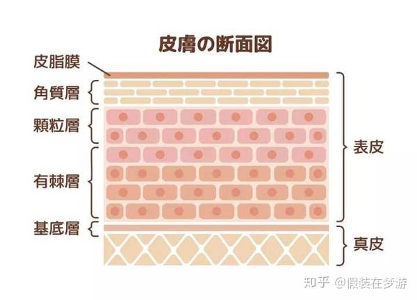 护肤保养知识_护肤品保养型_米兰达可儿护肤保养秘笈公开