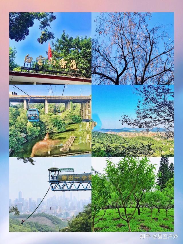 来广州一日游，这篇攻略承包你一整天的吃住行 - 知乎