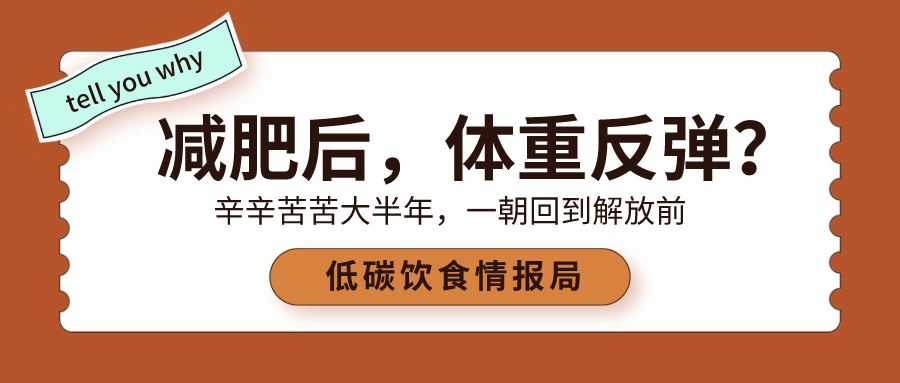 90的人減肥後體重反彈問題到底出在哪裡