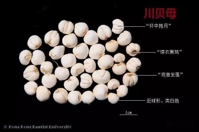 223种中药的鉴别图谱(彩图注释) - 知乎