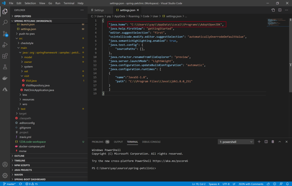 关于 VS Code for Java 的 Java 11 升级