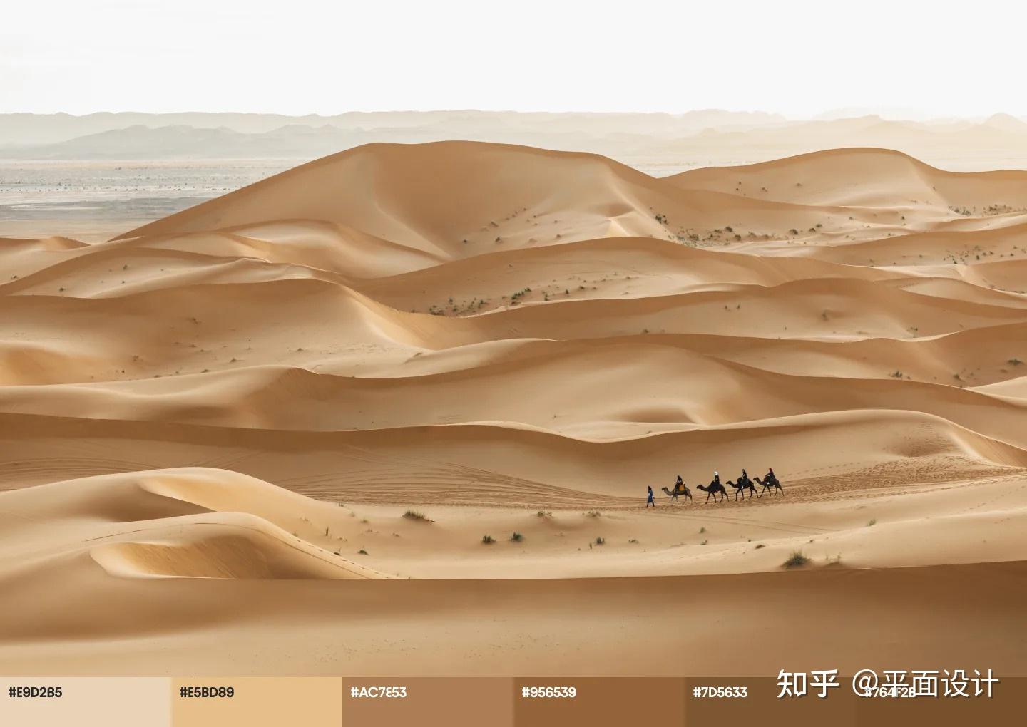 色彩搭配方案很适合这个夏天