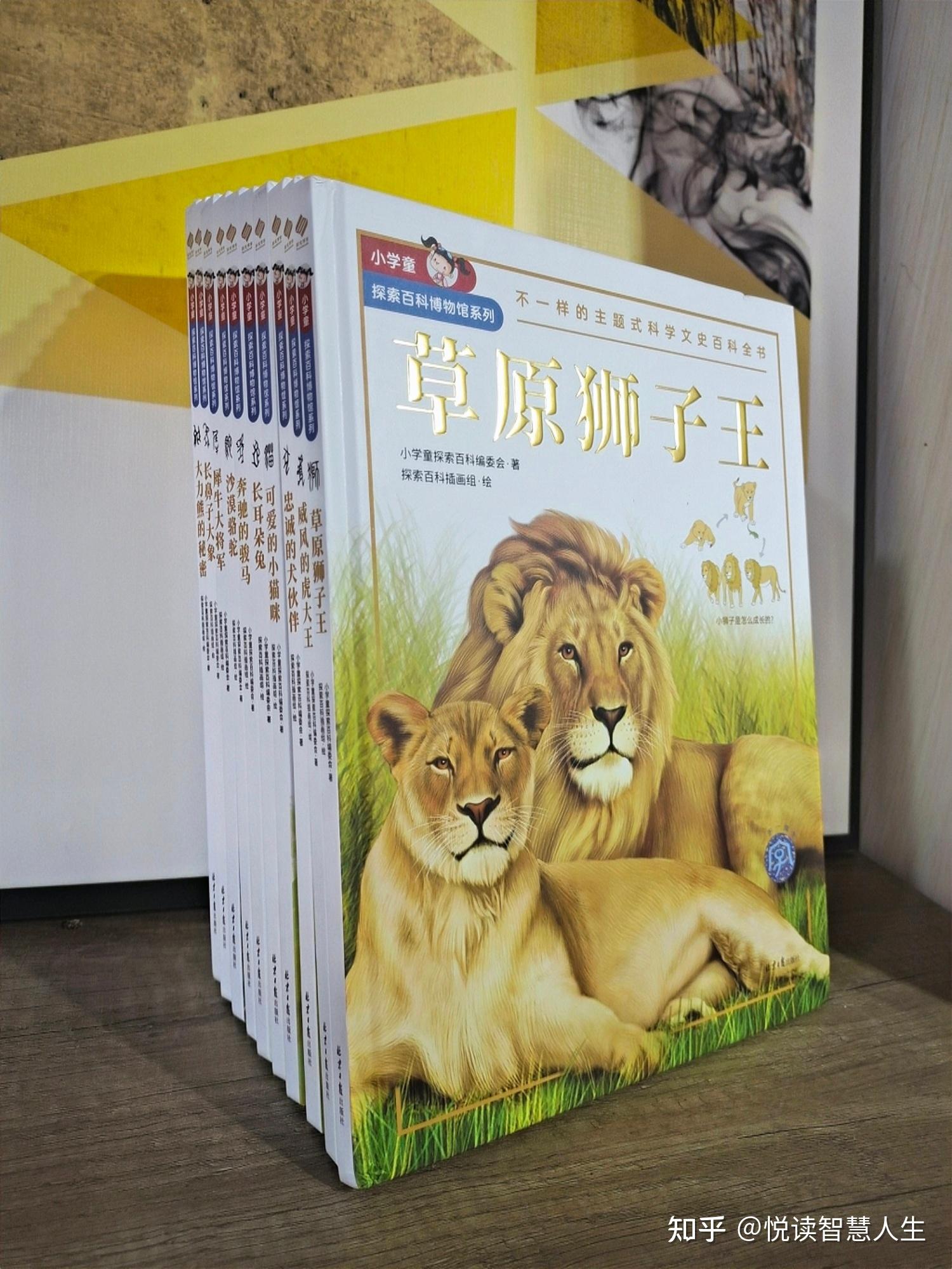 百兽之王虎、草原之王狮、大力熊，谁与争锋 - 知乎