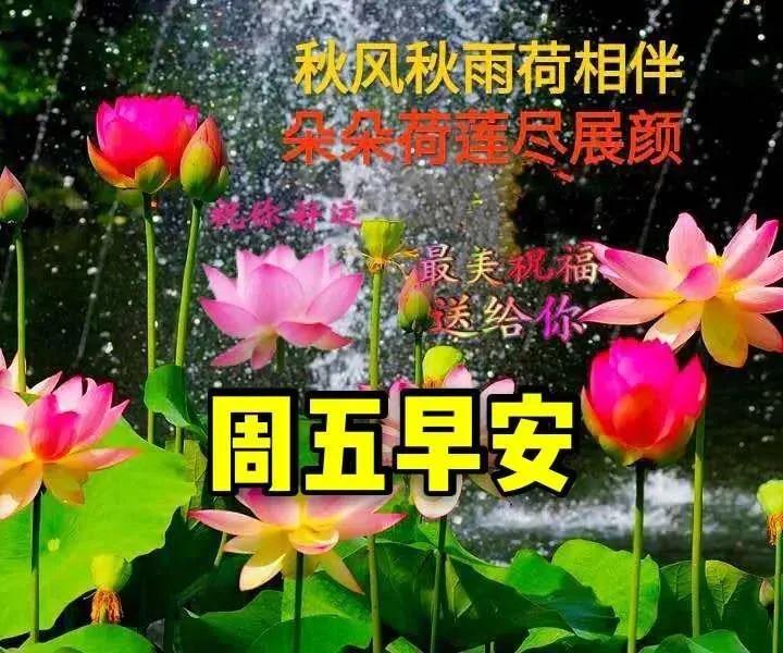 每一个字句都是美丽的祝福;牵挂是一段回忆,每一个画面都是曾经共同