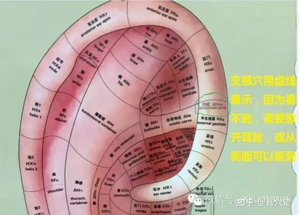 韩国片隐秘与伟大拍的也太好了吧