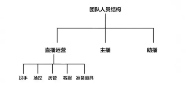 直播团队架构图片