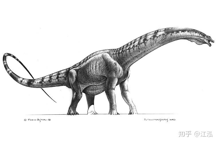 2020巨型蜥脚类恐龙排行榜最终篇