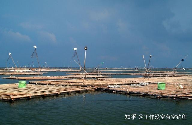 一种新兴的钓法——桥筏，2024年超值桥筏装备推荐 - 知乎