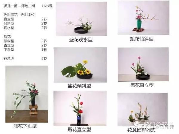 小原流蘭印象花道 课程设置 知乎