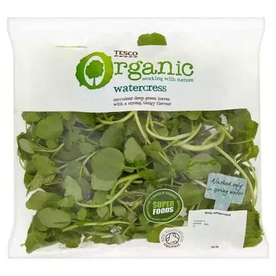 watercress西洋菜mooli白萝卜tomato蕃茄cucumber大黄瓜red cabbage