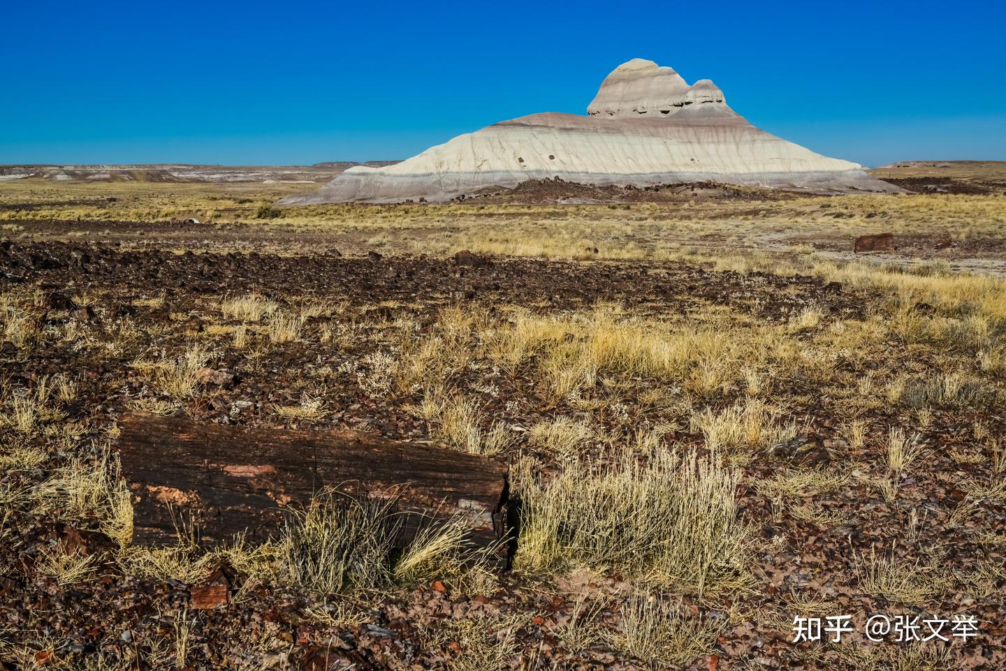 无土之地：地球生命之源的土壤，如何走出困境？ - 知乎