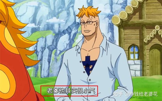 海贼王和之国篇你如何看待马尔科在和之国的作为