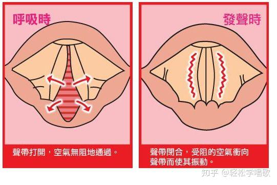 声带一边大一边小图片