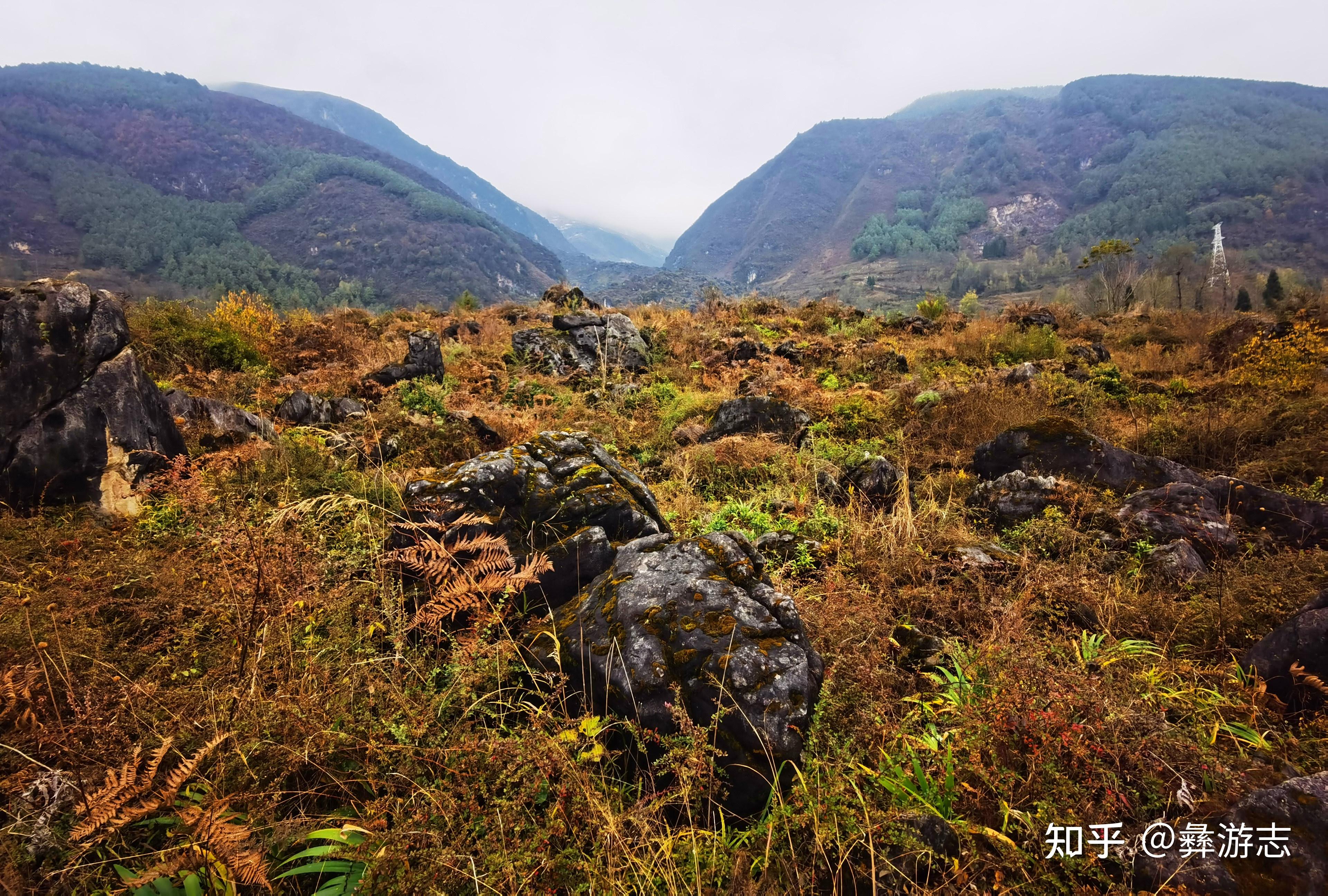 大涼山這裡,牛鹿爭鬥,地動山搖,膽戰心驚,一片石林由此誕生 - 知乎