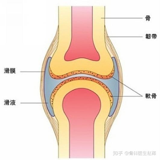 請查收這是您的膝關節使用說明書