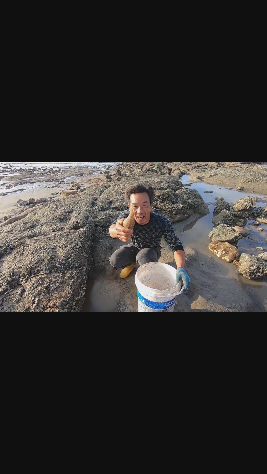 东海嵊泗列岛海滩相关推荐 3:09老渔民出海捕鱼,捉到大白鲨渔夫来叔