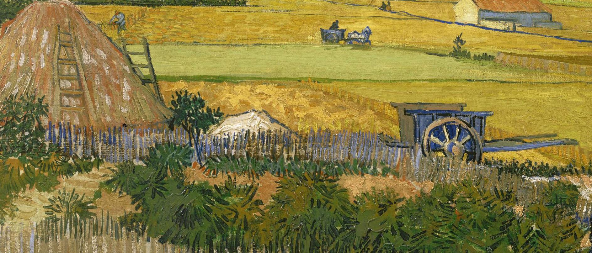 意大利进口瓷砖icolor系列绽放精彩绝伦之美