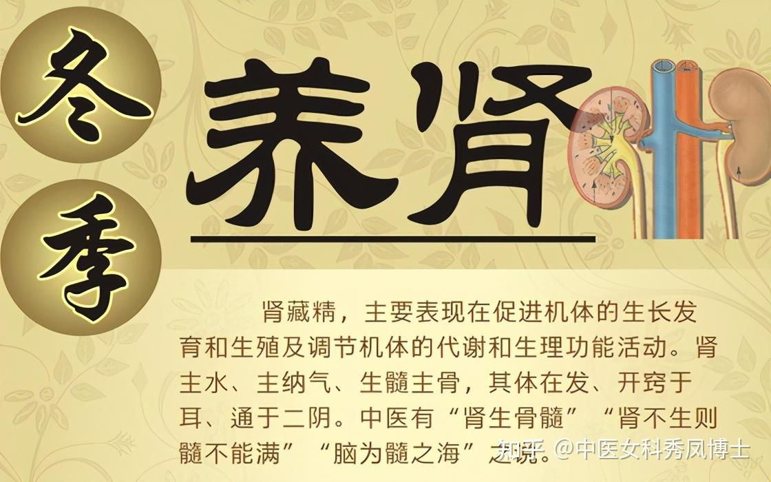 二,补肾有哪些好处?