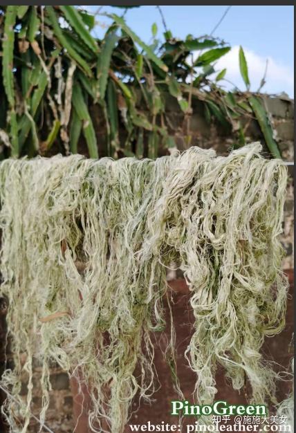 菠萝麻皮革的制成