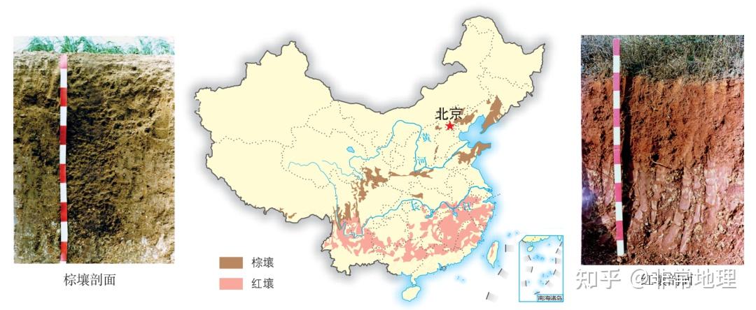 土壤垂直分层图