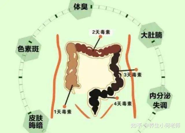中医教你清“宿便”，调出好气色 - 知乎