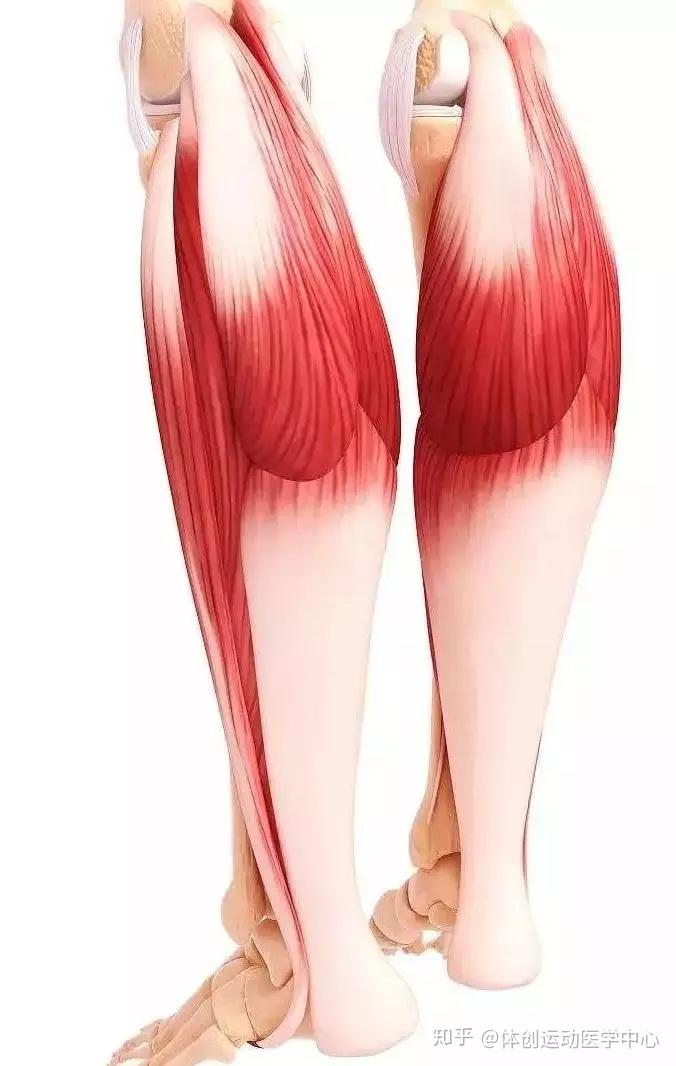 健身前怎么快速热身 v2-0901b5ad42c1e1450b601bf825f3337b_r.jpg