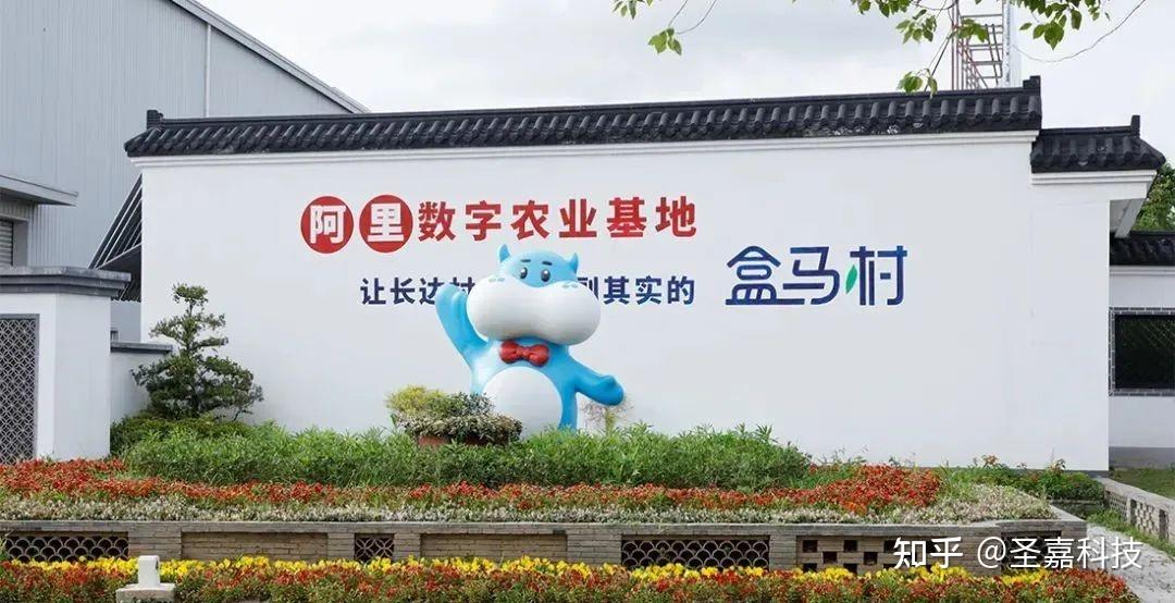 化,品牌打造,发展数字农业的村庄,是阿里巴巴数字农业基地的典型代表