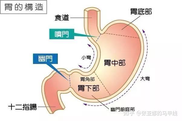 患食道癌的几率增加