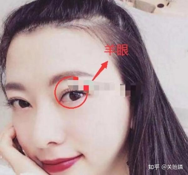 面相看眼睛教学:39种决定人生运势的眼型 (大合集)完整版 - 知乎