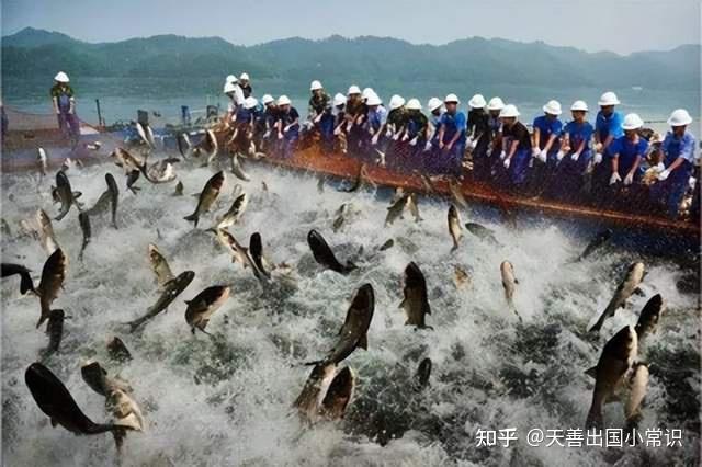 主产鱼类为鳕科鱼类第三,北海渔场,北海渔场位于大西洋东北部边缘海域