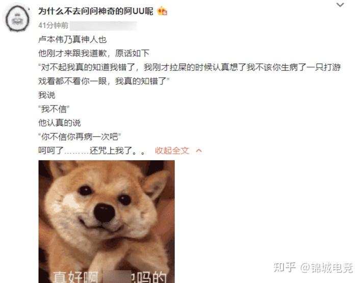 十年爱情长跑婚礼感言