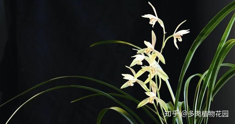 v2-0940bdd02c3b8a26adf90ba402a4498f_r.jpg