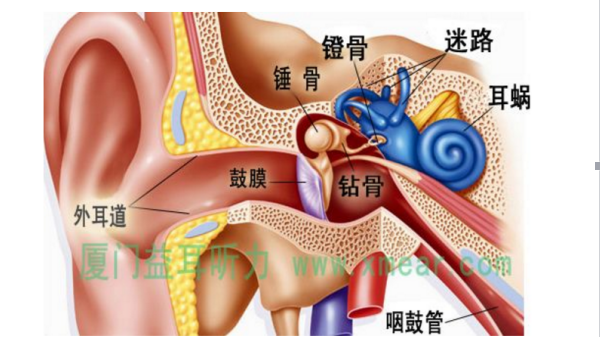 骨传导耳机 知乎