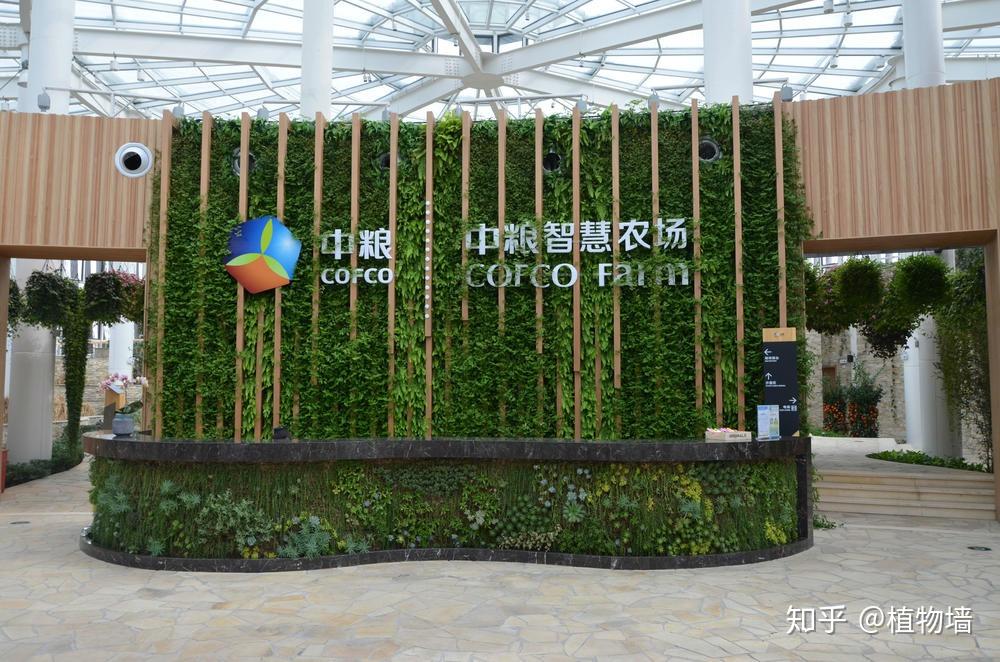 室内植物墙与软装的融合