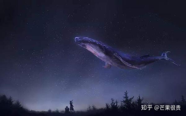 北冥有鱼，其名为鲲，鲲之大，一锅炖不下！ - 知乎