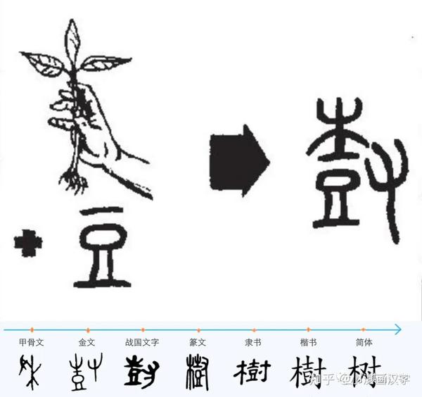 树的甲骨文怎么写图片图片