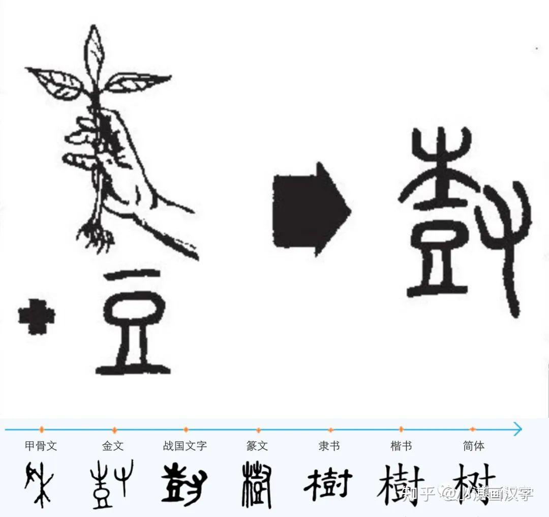 植樹節,說說