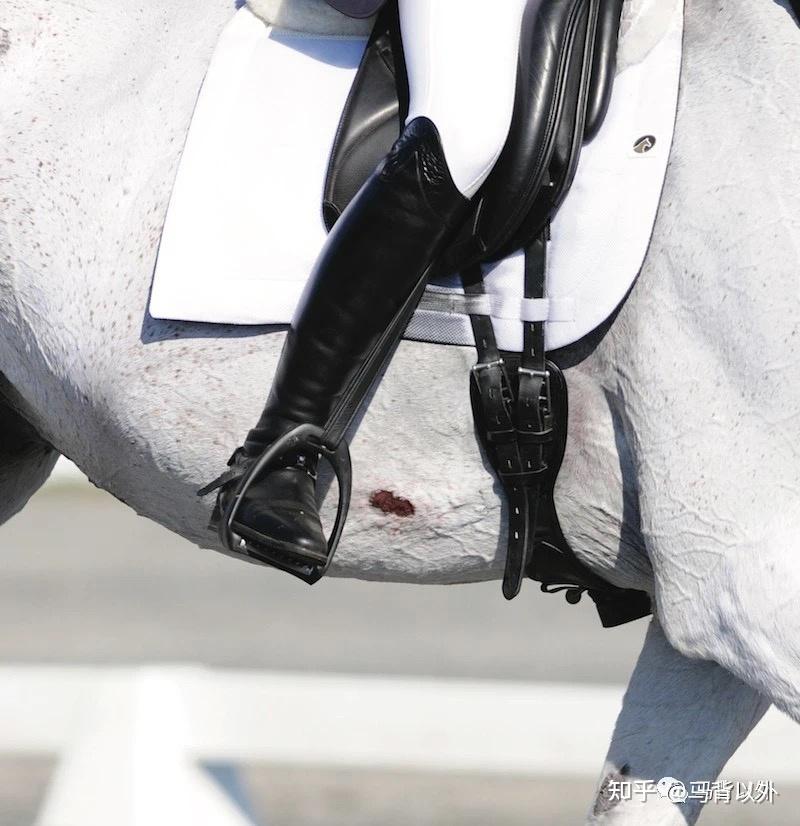 马刺还是马鞭？该怎么选择和正确使用？ 知乎