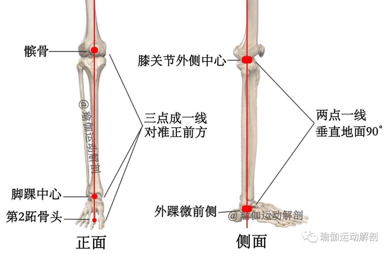 瑜伽体位