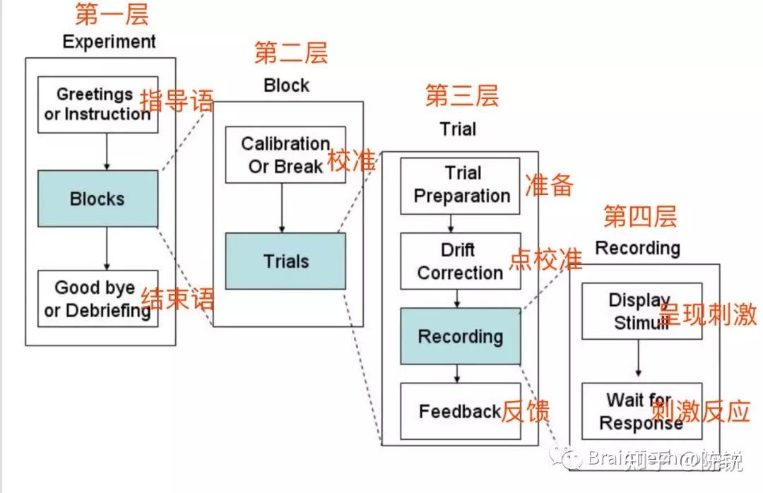 E-Builder实验设计指导说明 - 知乎