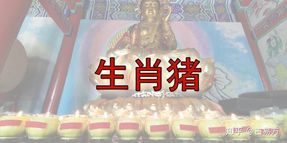 生肖猪9月30日运势(9月30日生肖运程)