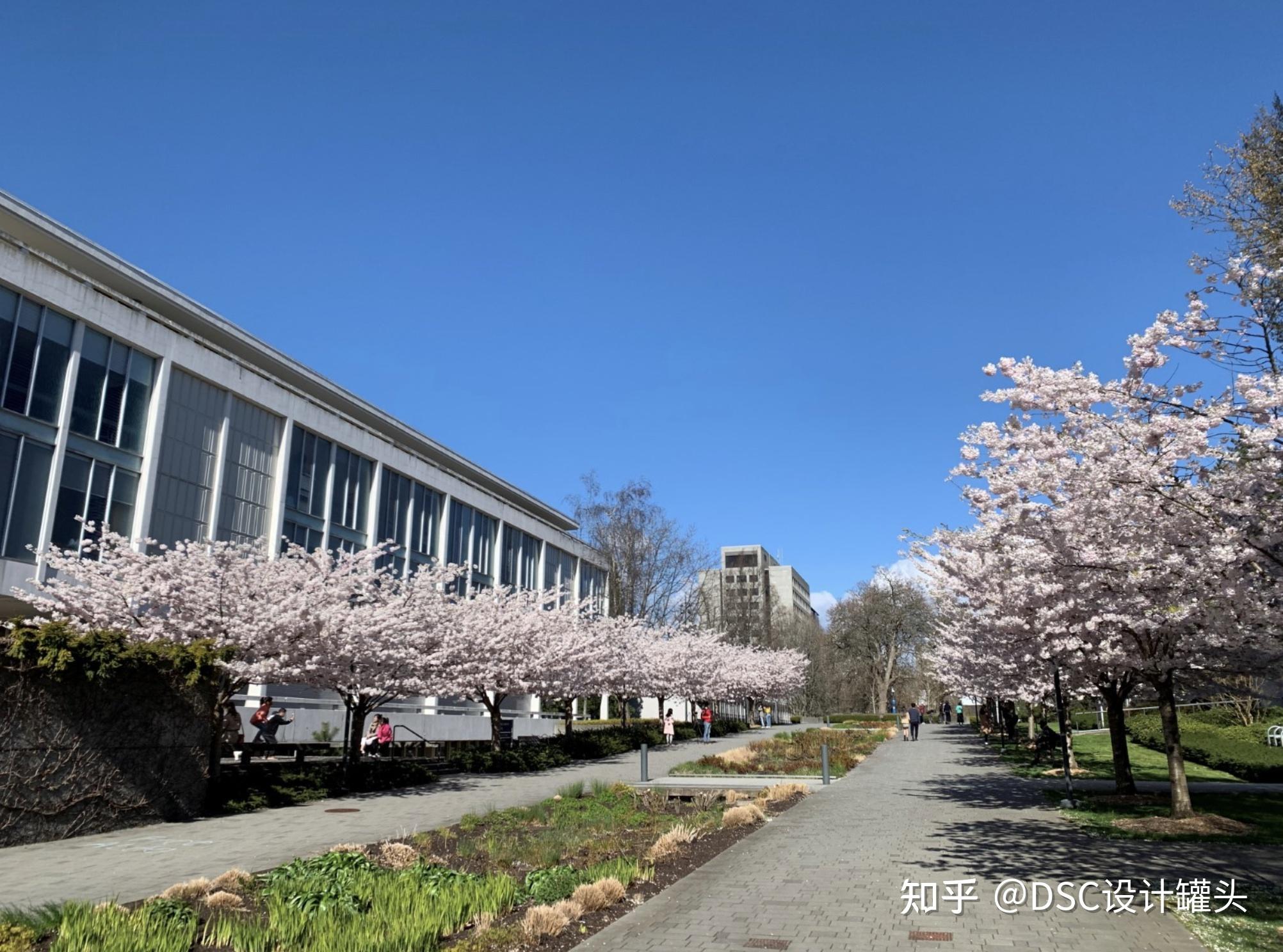 我的本科就讀於university of guelph (加拿大圭爾夫大學)的景觀建築