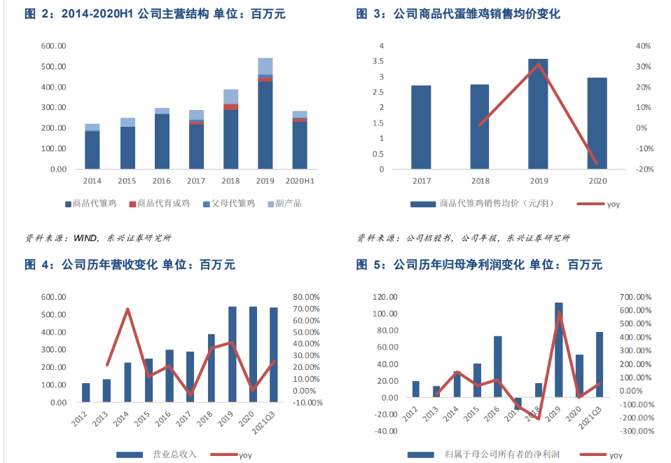 源起西北的蛋種雞龍頭曉鳴股份持續擴張雄雞一鳴曉暢天下