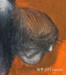 纯粹恐怖的终极反应：弗朗西斯·培根《以受难为题的三习作》-上集
